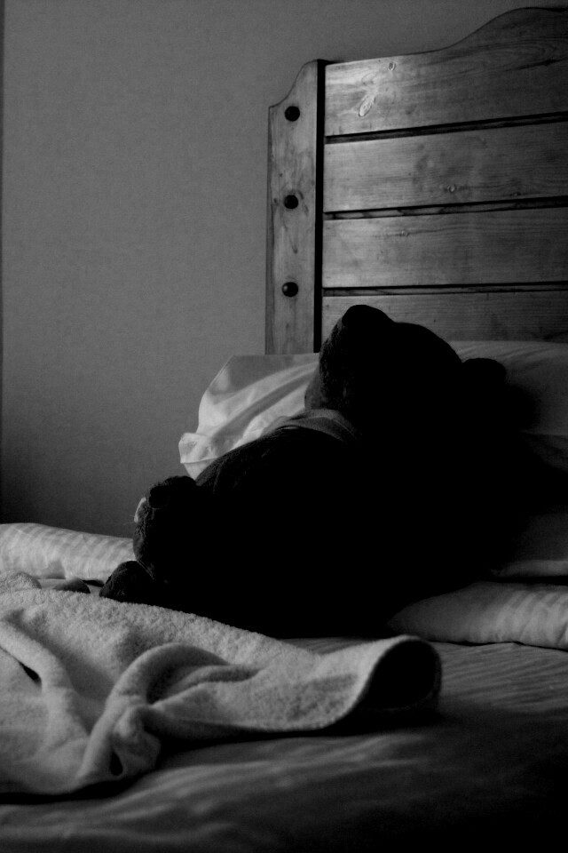 Медвежонок в постели обои