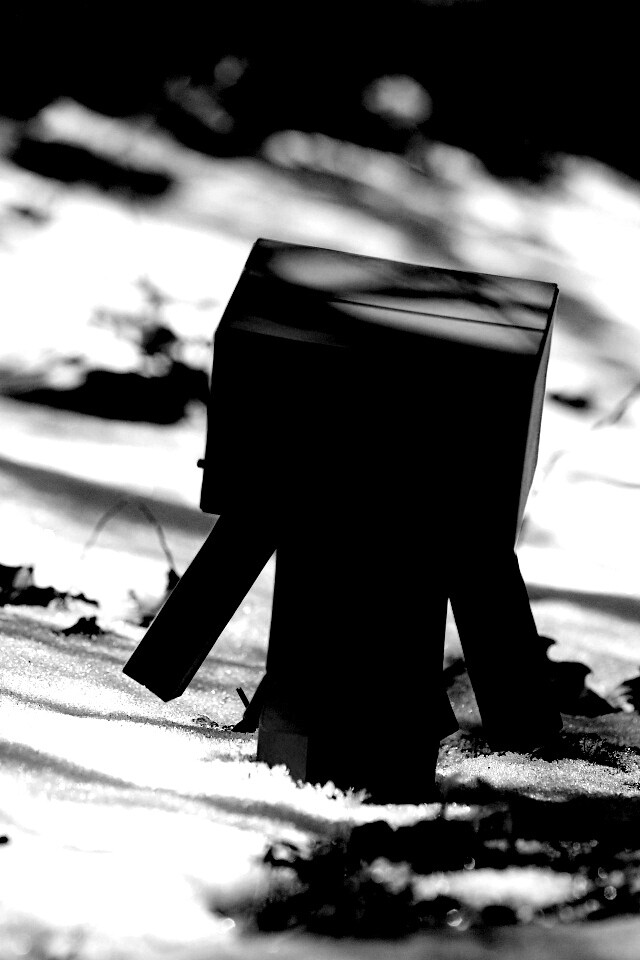 Данбо зиомой обои