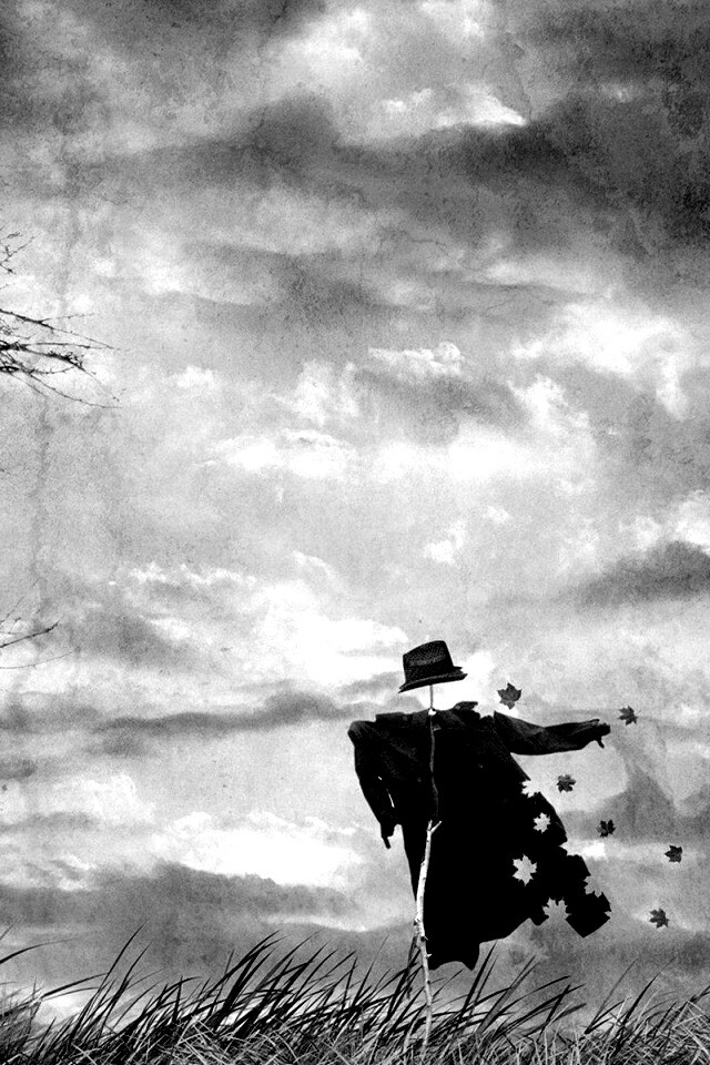 Забытое пугало обои