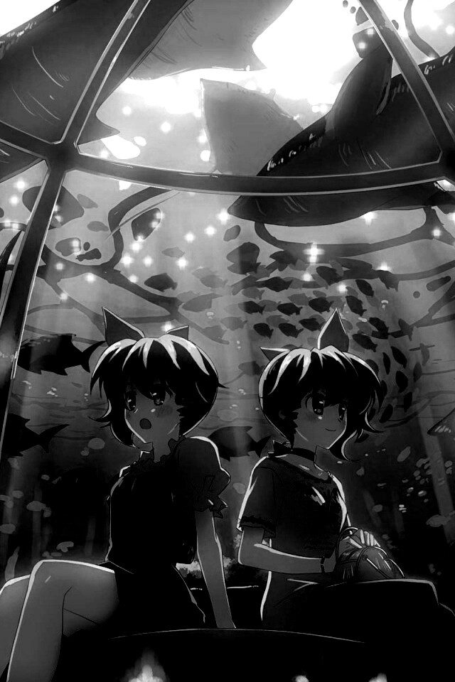 В океанариуме обои