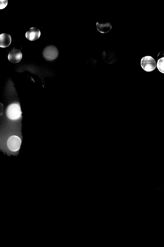 Силуэт черного кота обои