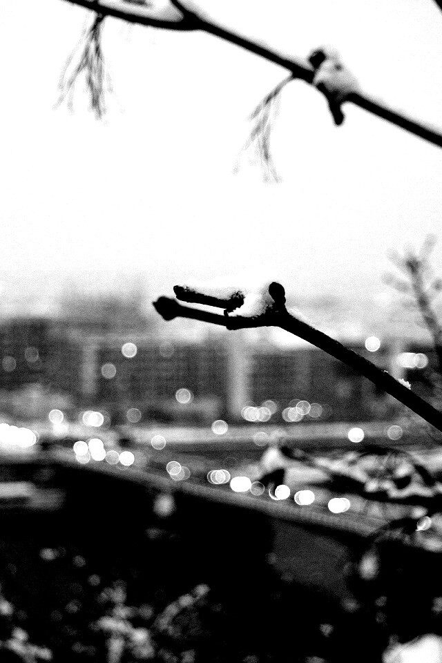 Зима в городе обои