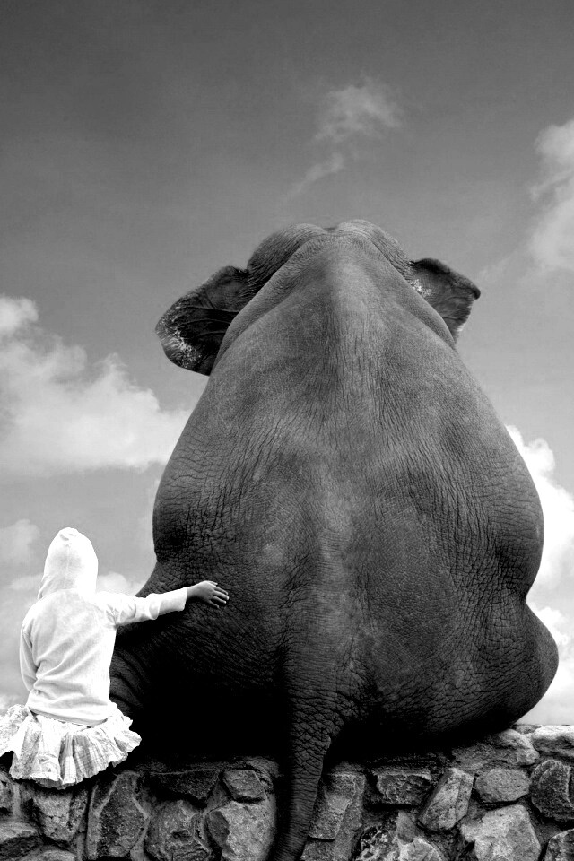 Девочка и слон обои