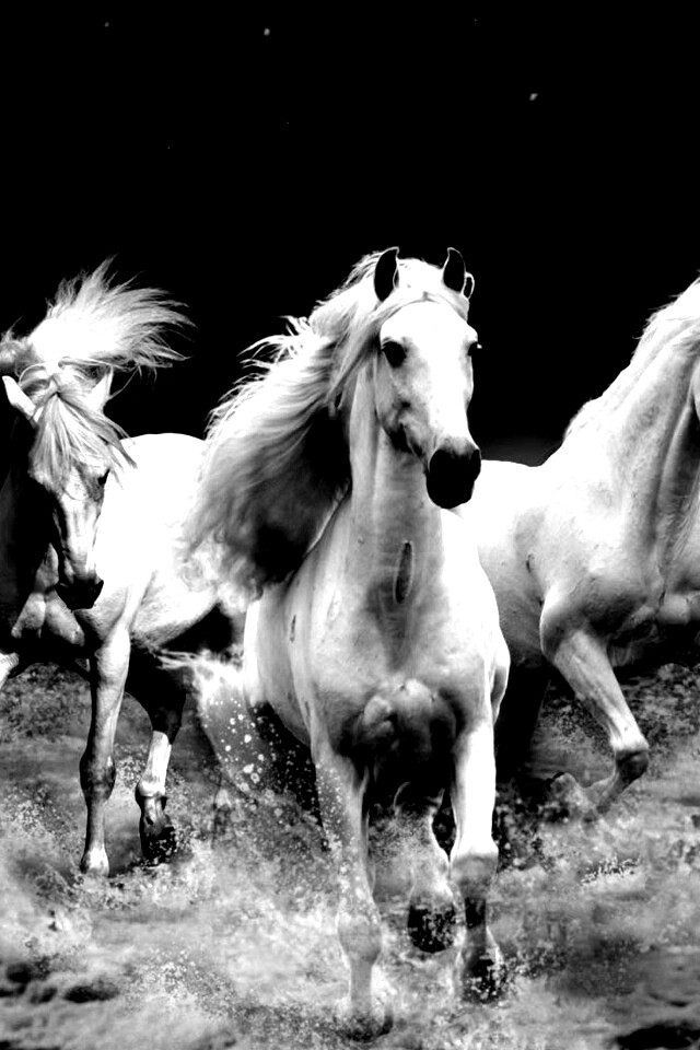 Тройка конец в море обои