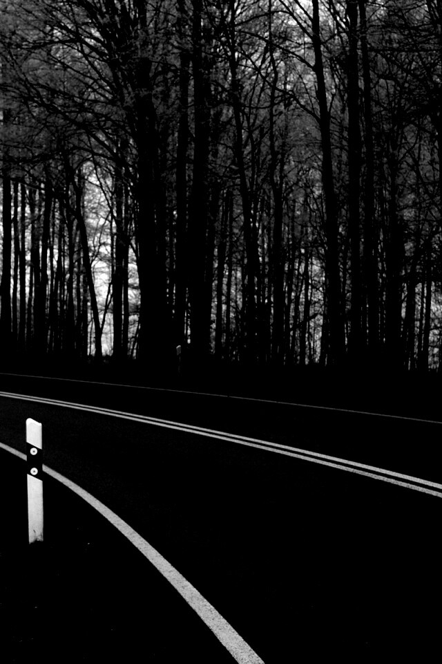 Дорога в осеннем лесу обои