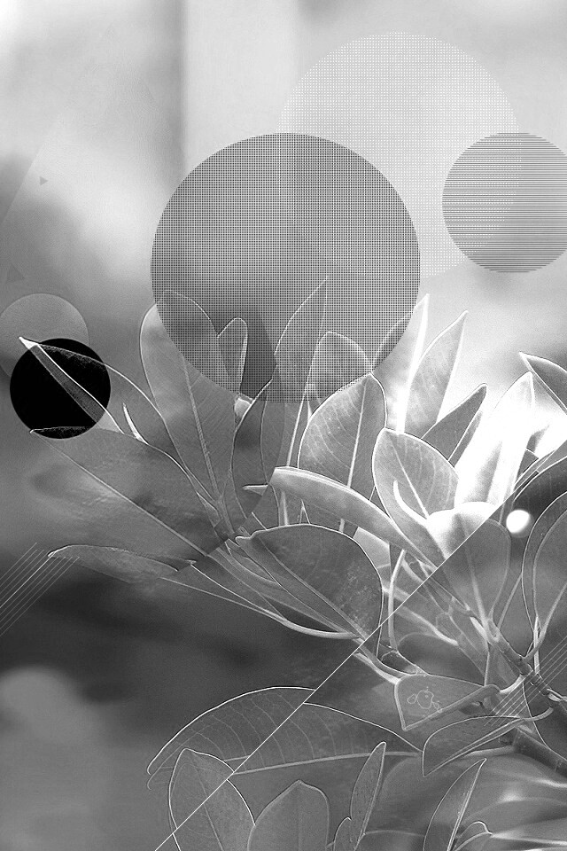 Синий фильтр с кргуами на фото листьев обои