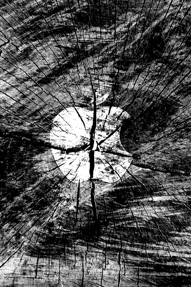 Логотип Apple на бревне обои