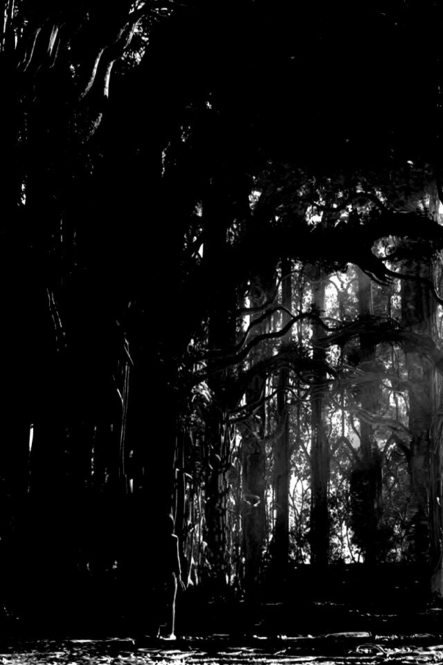 Одна в сумеречном лесу обои