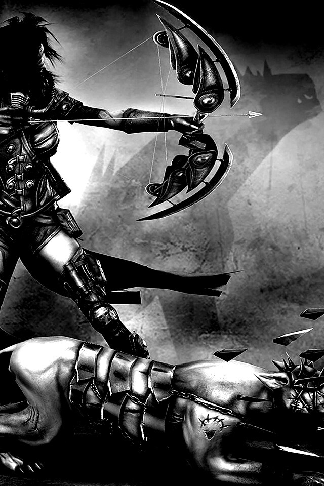 Лучница с боевым псмо обои