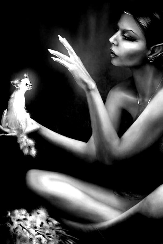 Почет и процветание обои