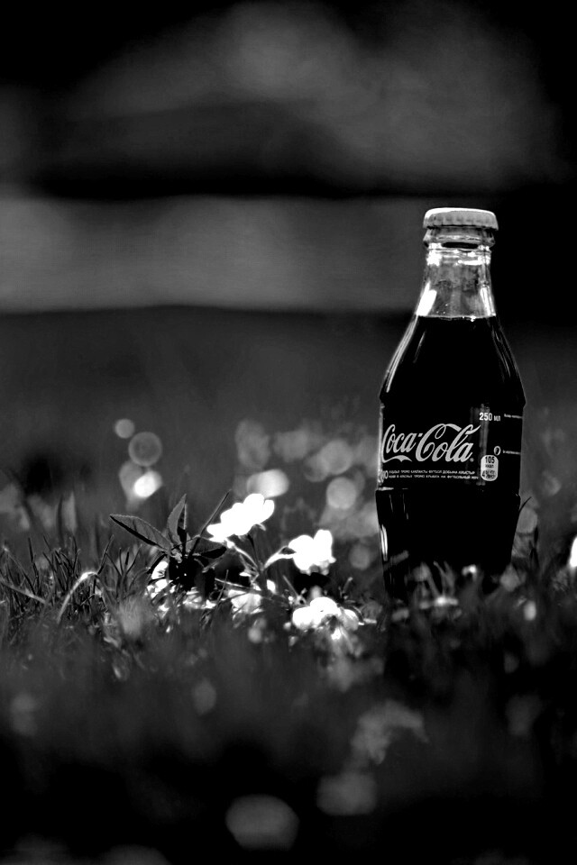 Кока-Кола на траве обои