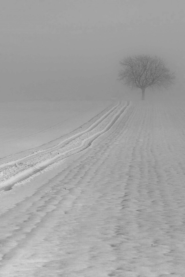 Заснеженное поле обои