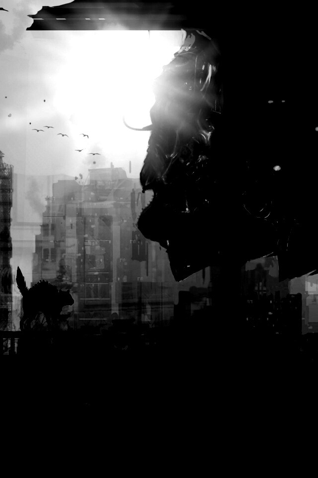 Кошкино удивление обои