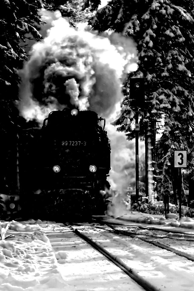 Паровоз в димнем лесу обои