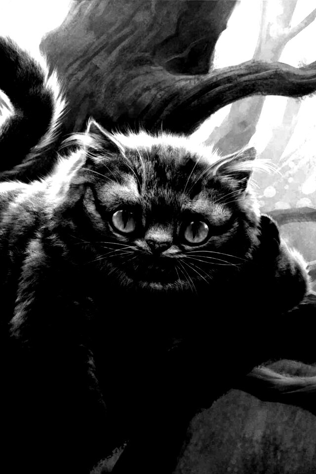 Чеширский кот обои