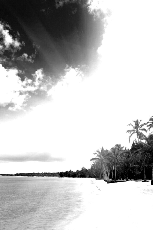 Тропическое побережье обои