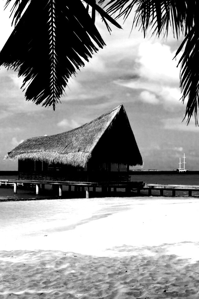 Бунгало обои