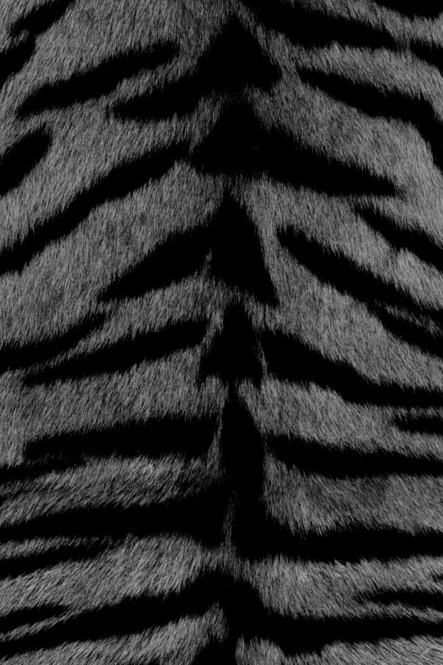 Тигриная шкура обои