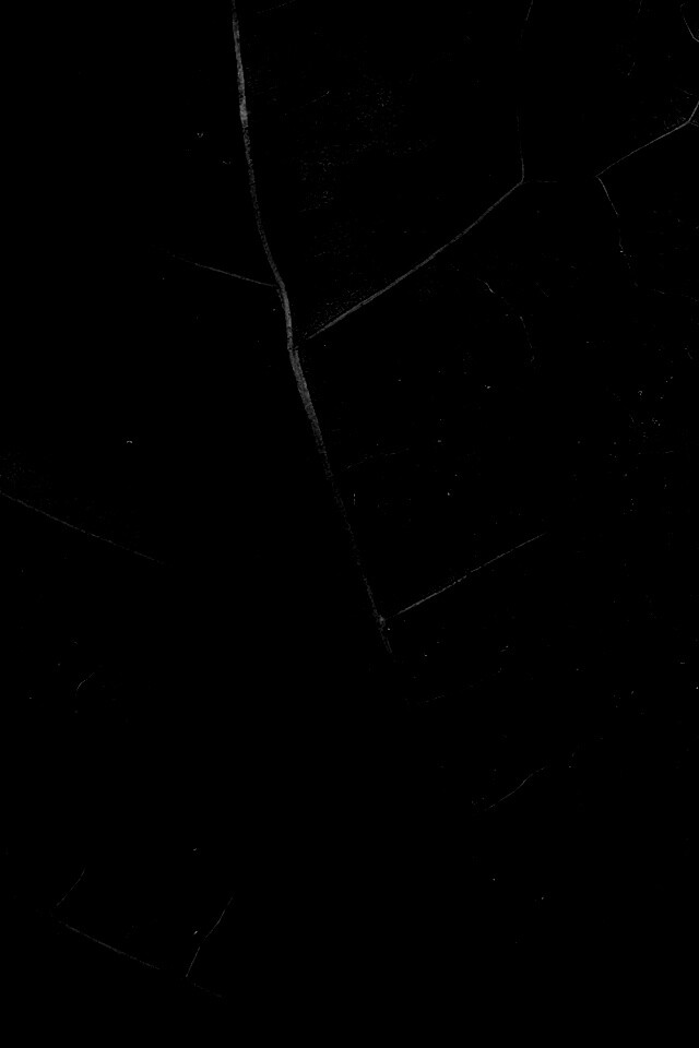 Макро зеленый лист обои