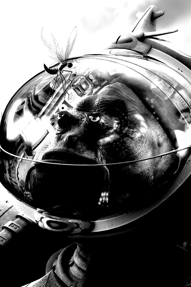 Инопланетянин и стрекоза обои