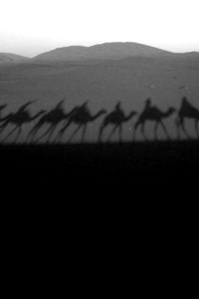 Караван обои