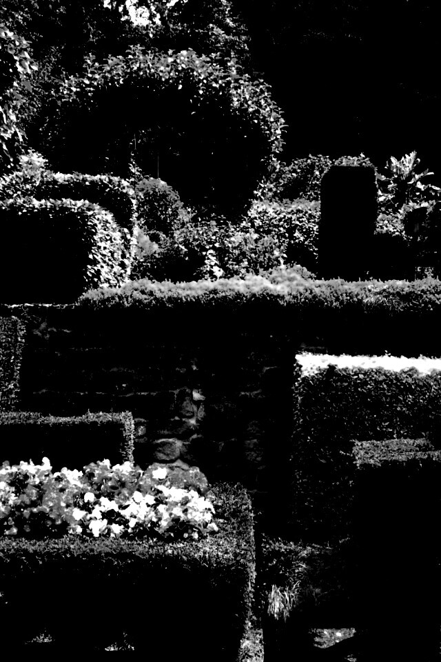 Декоративный сад обои