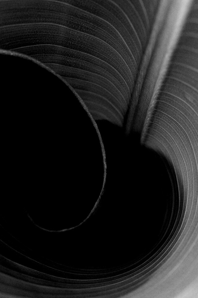 Зеленый лист трубочкой обои