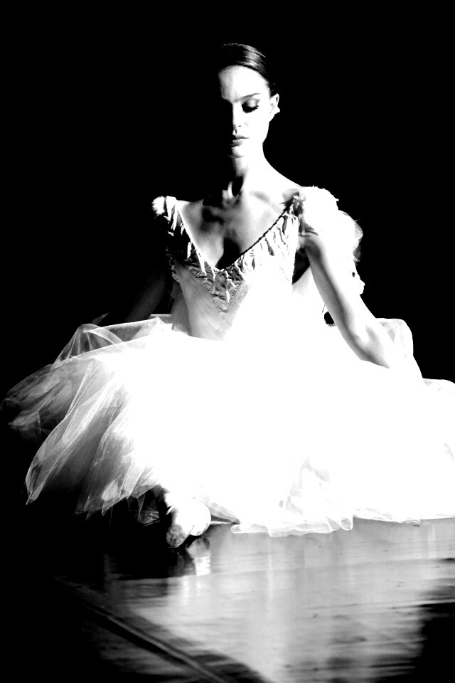 Черный лебедь обои