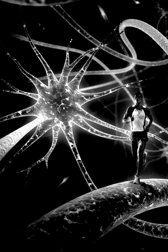 Бег мыслей обои