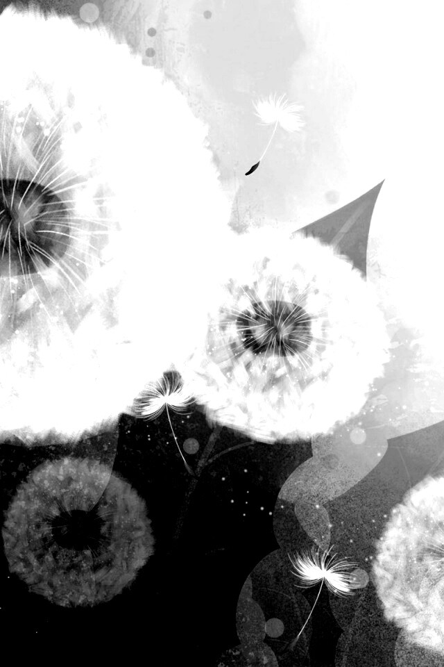 Одуванчики обои