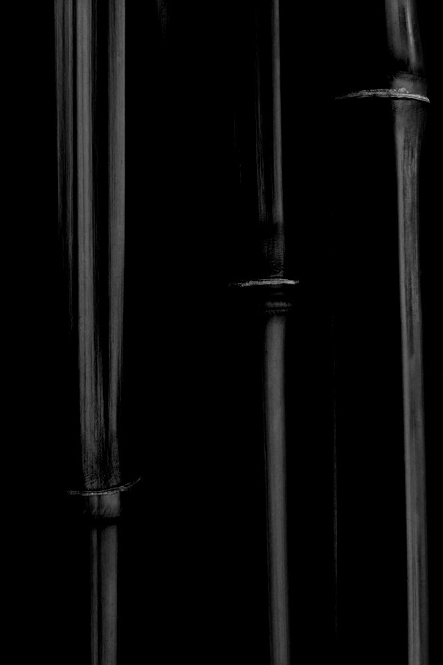 Бамбуковая роща обои