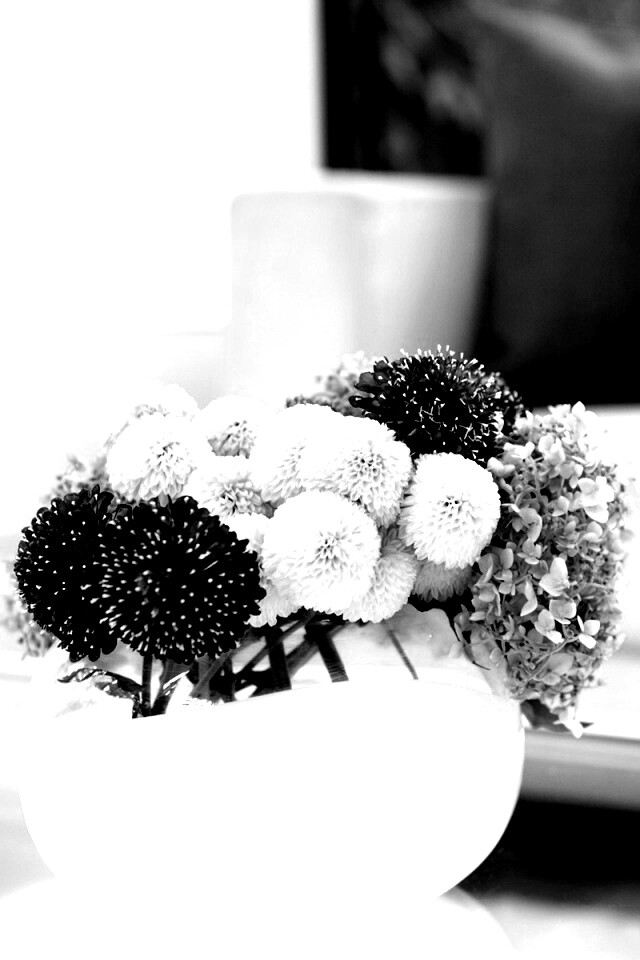 Цветы в белой вазе обои