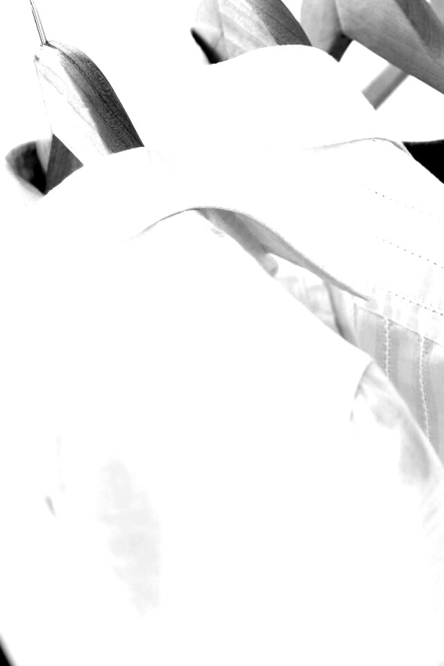 Вещи на вешалке обои