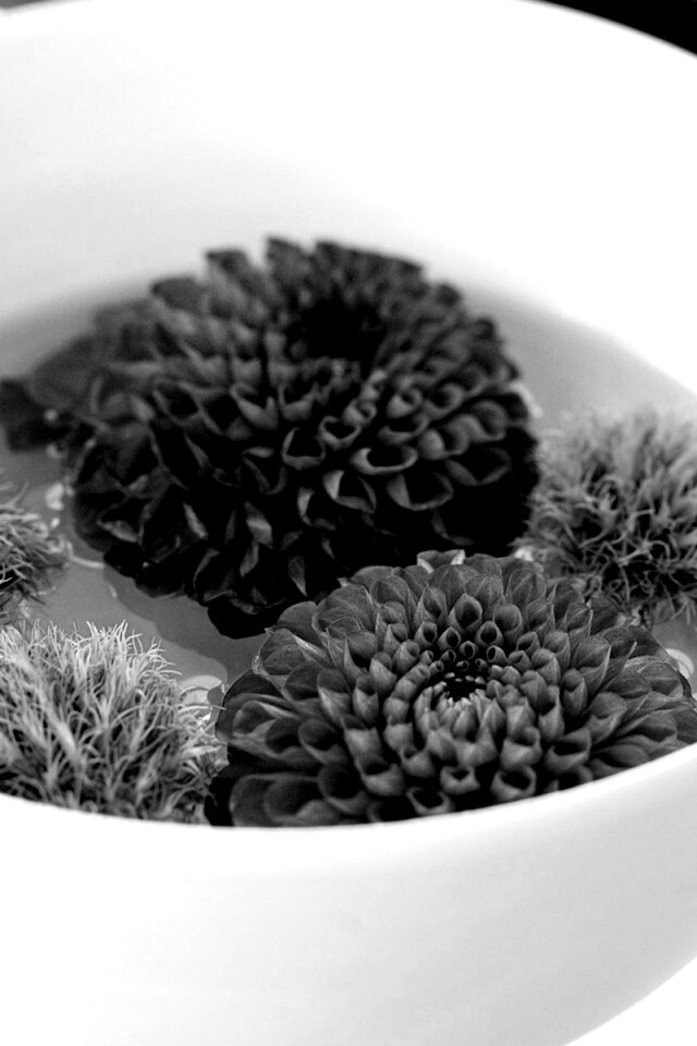 Чаша с цветами обои