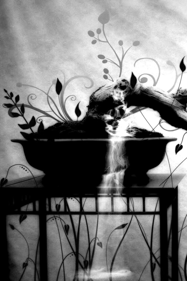 Карликовое дерево обои