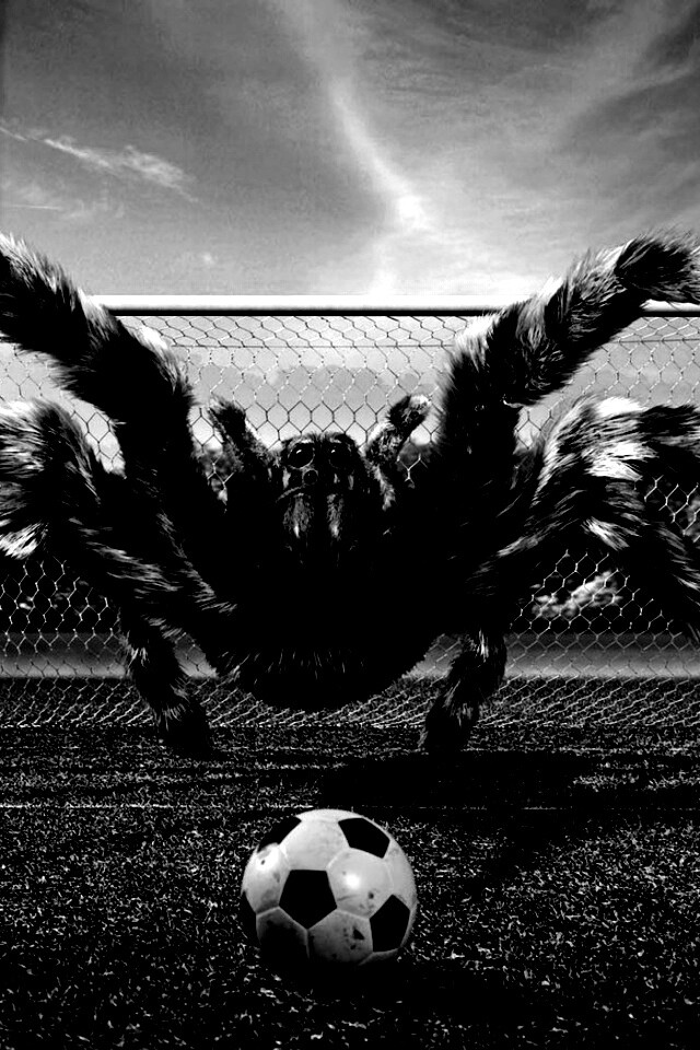 Вратарь обои