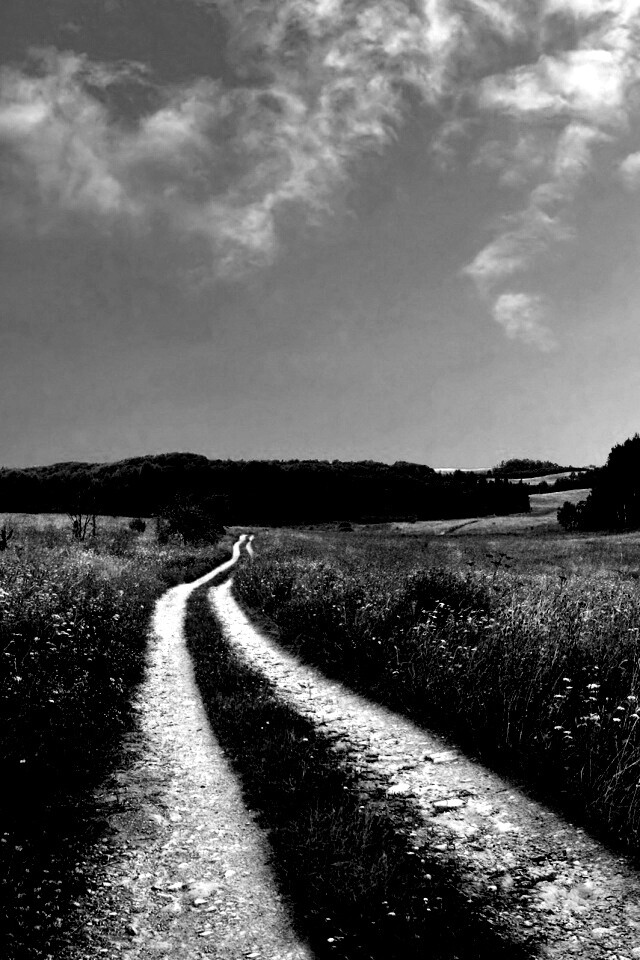 Дорога через луг обои