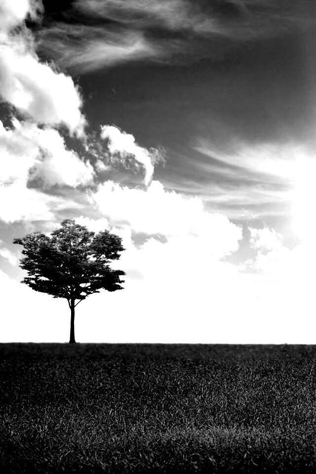 Один в целом мире обои