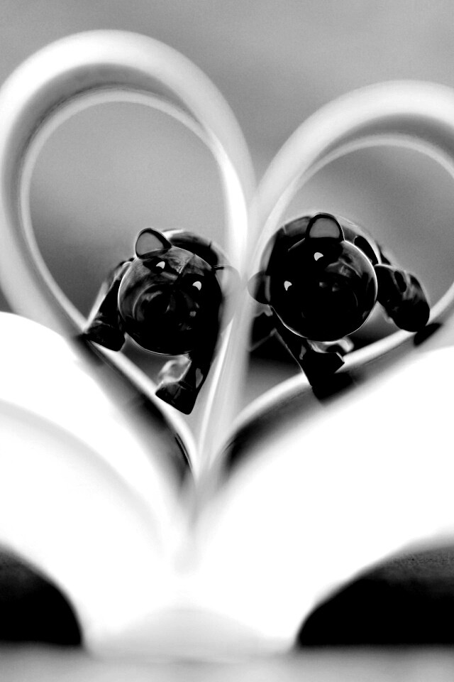 Фигурки мишек в книге обои