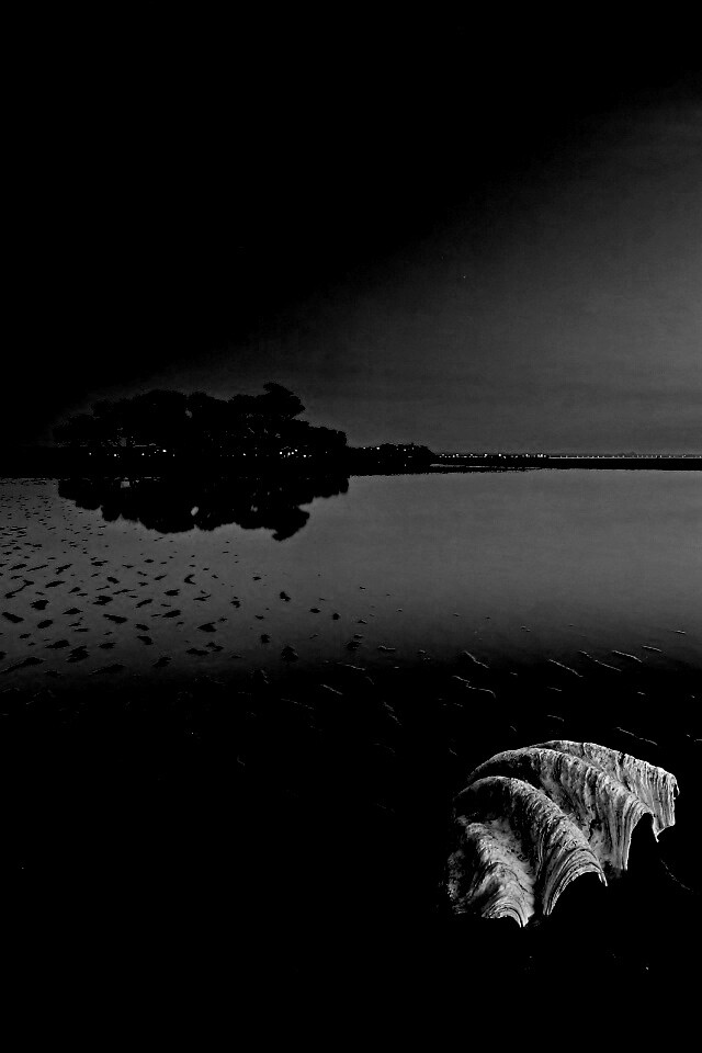 Закат на берегу моря обои