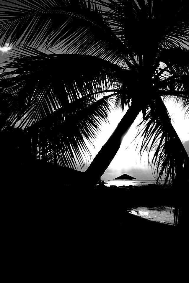 Пляж на закате обои