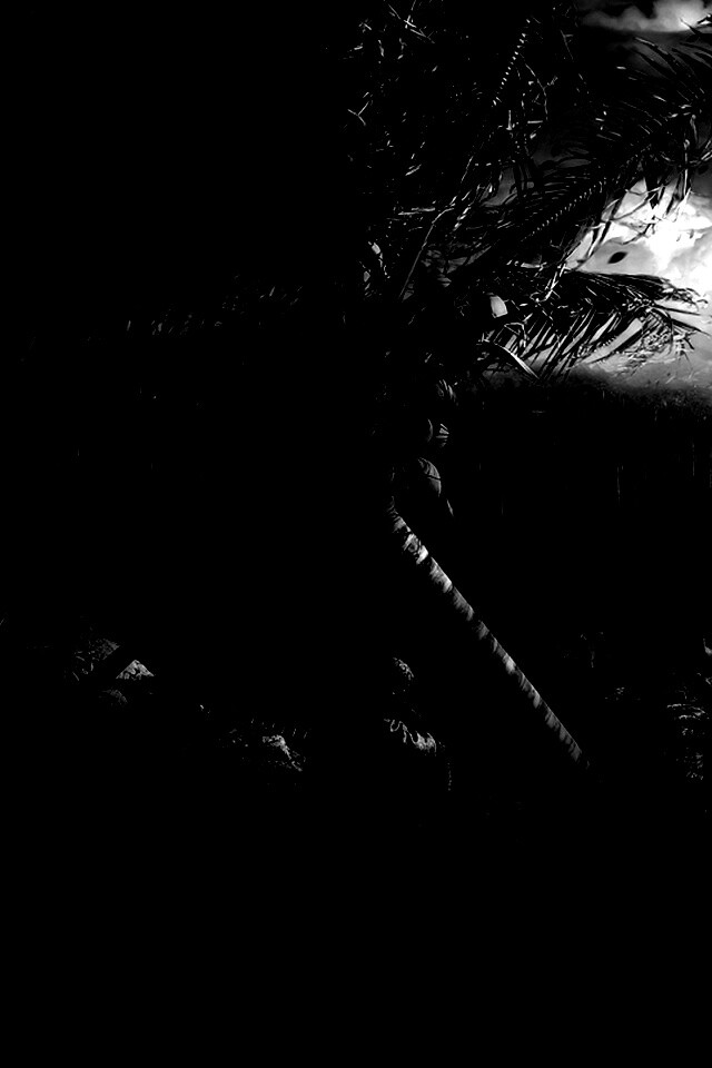 Вид на джунгли обои