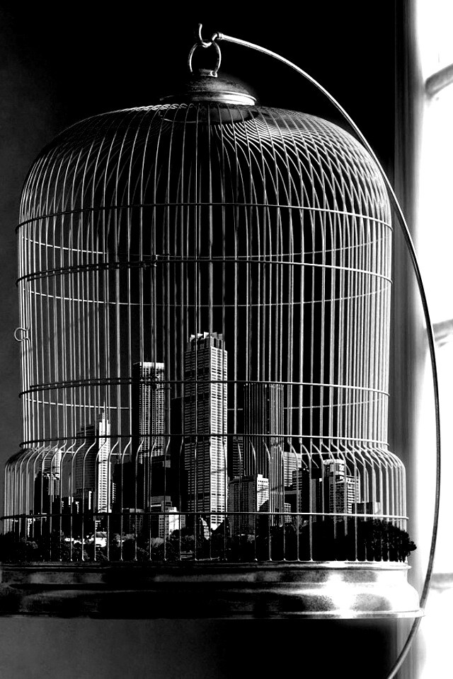 Город в клетке обои