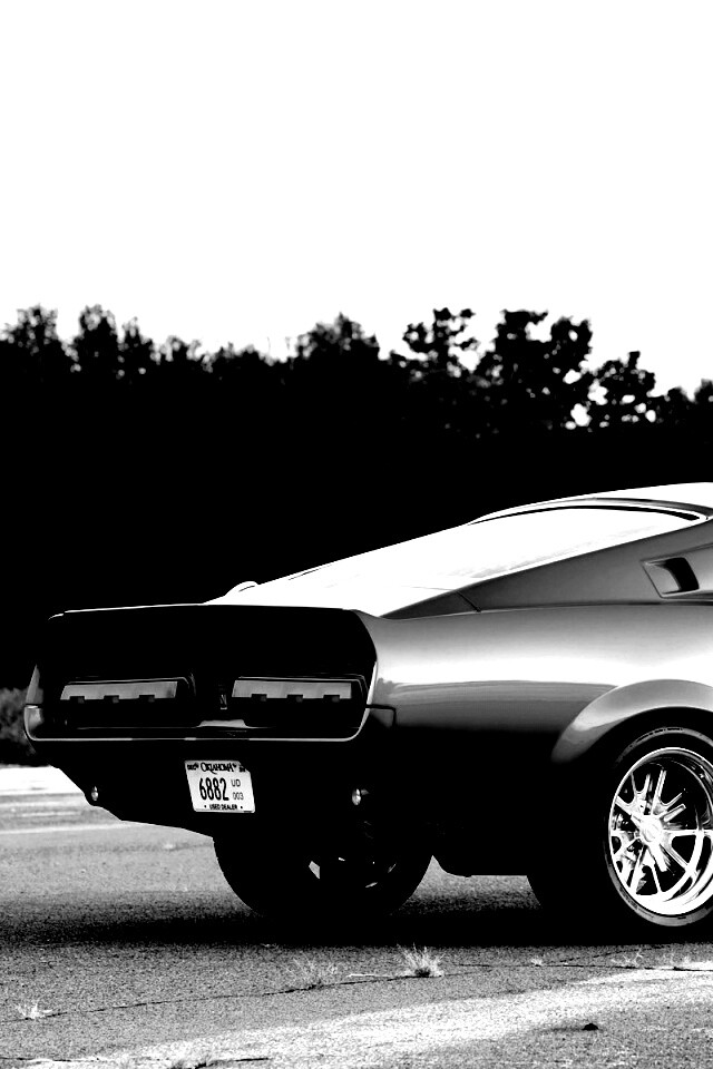 Shelby GT500 CR обои