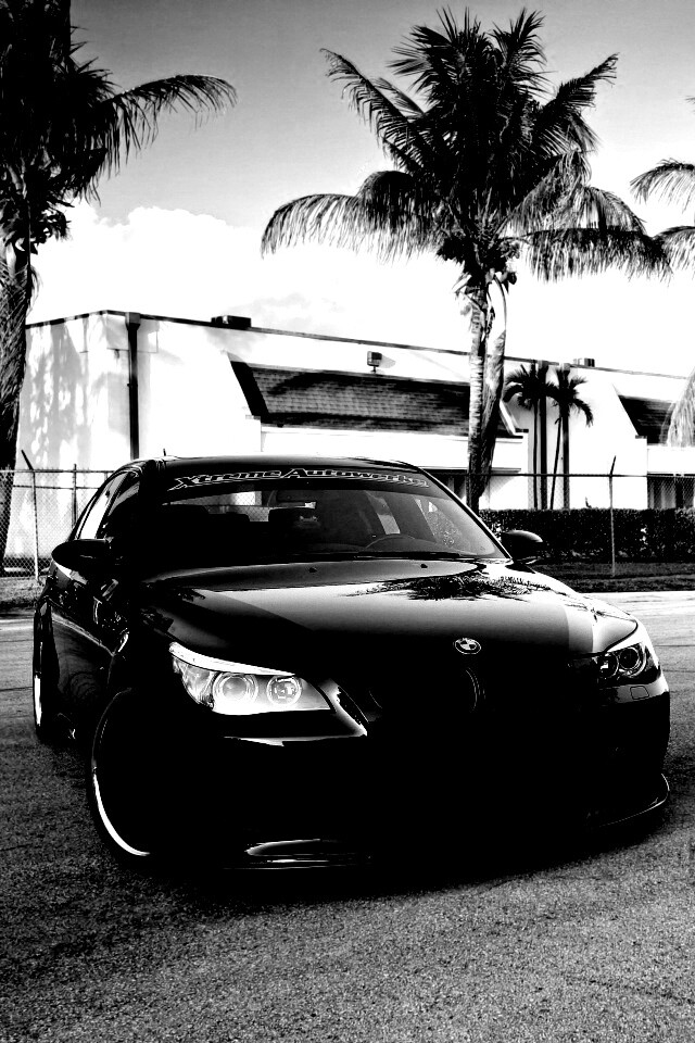 Две БМВ обои