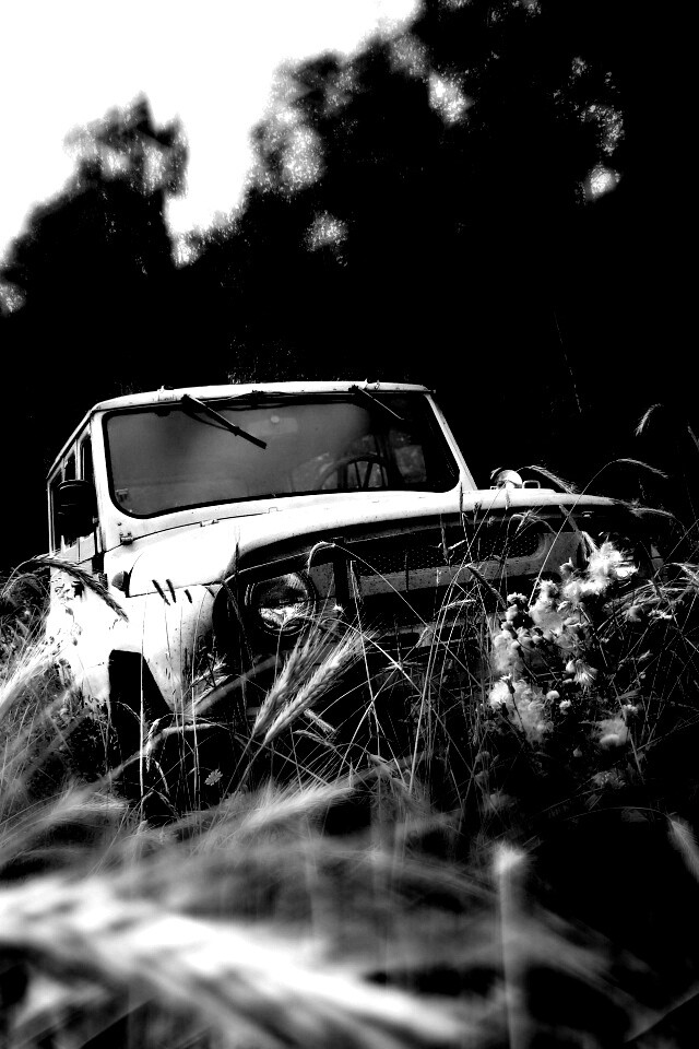 УАЗик в траве обои