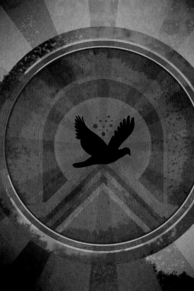Голубь мира обои