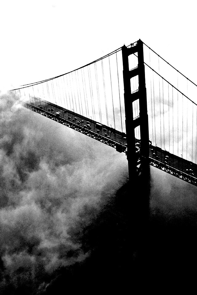 Мост Золотые ворота утопает в тумане обои