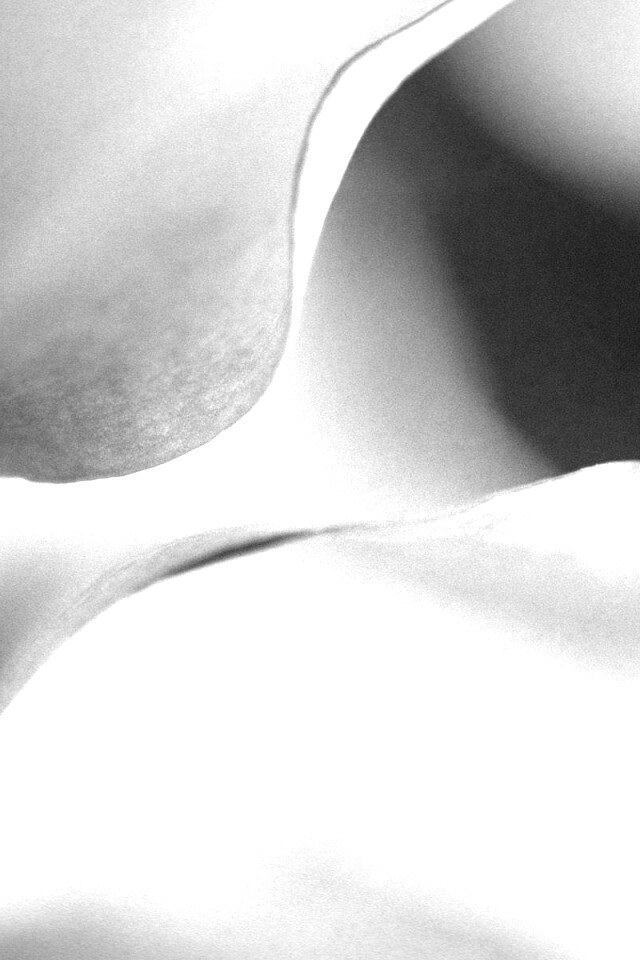 Оттенки природы обои