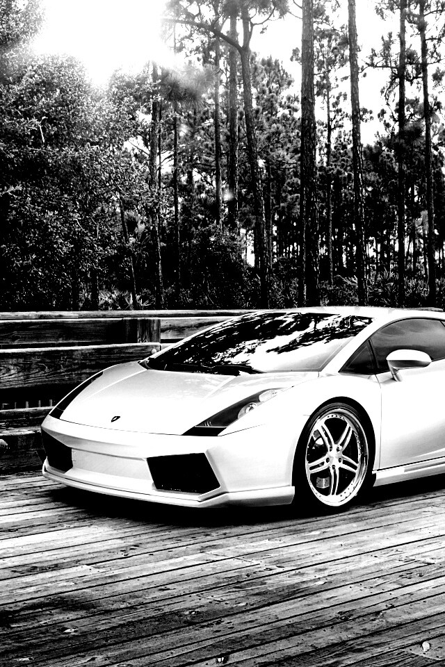 Ламбоджини на мосту в лесу обои